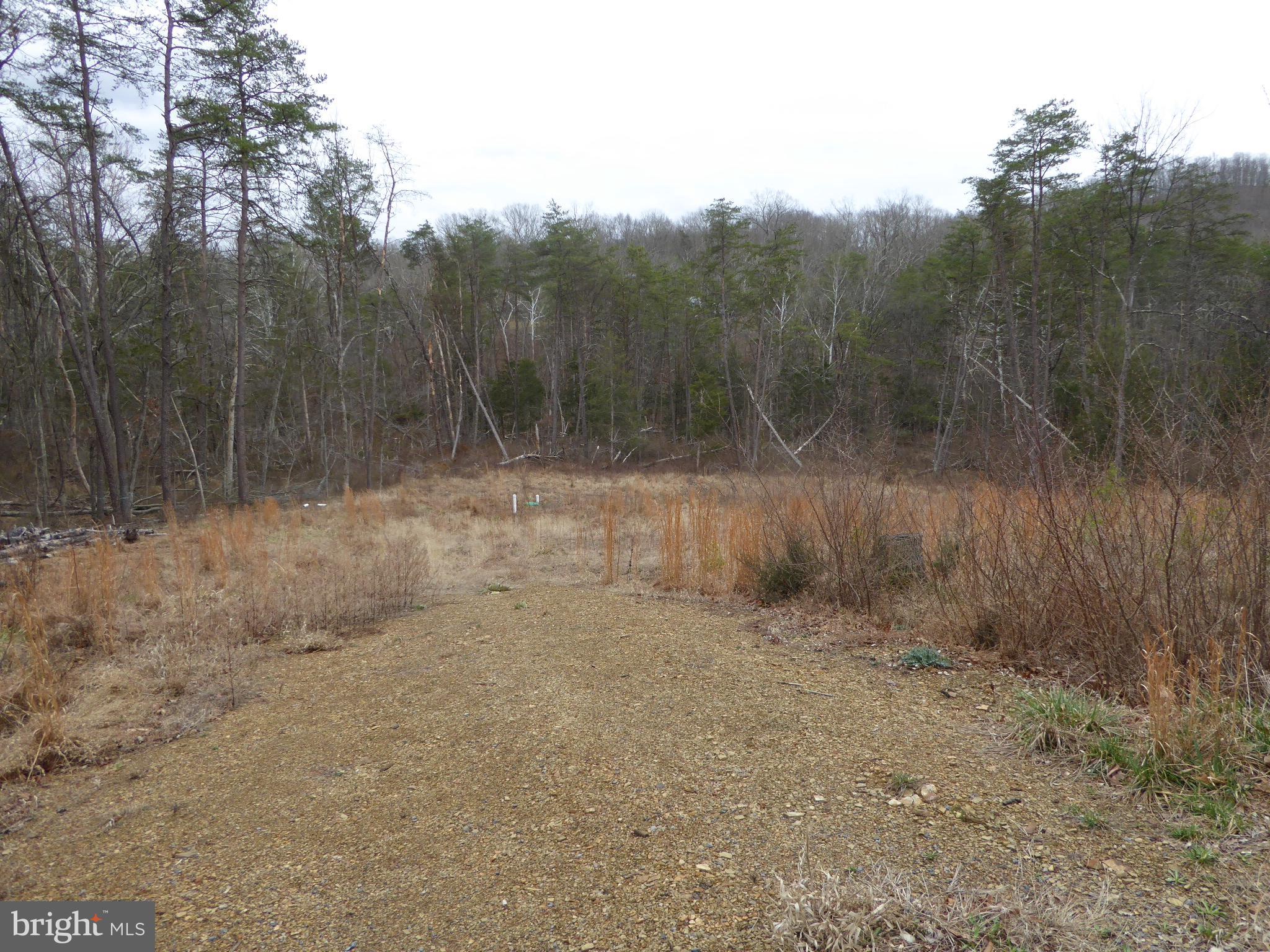 13 Fawn Drive Springfield, WV 26763 - Photo 8 of 20 a view of a dry yard with trees