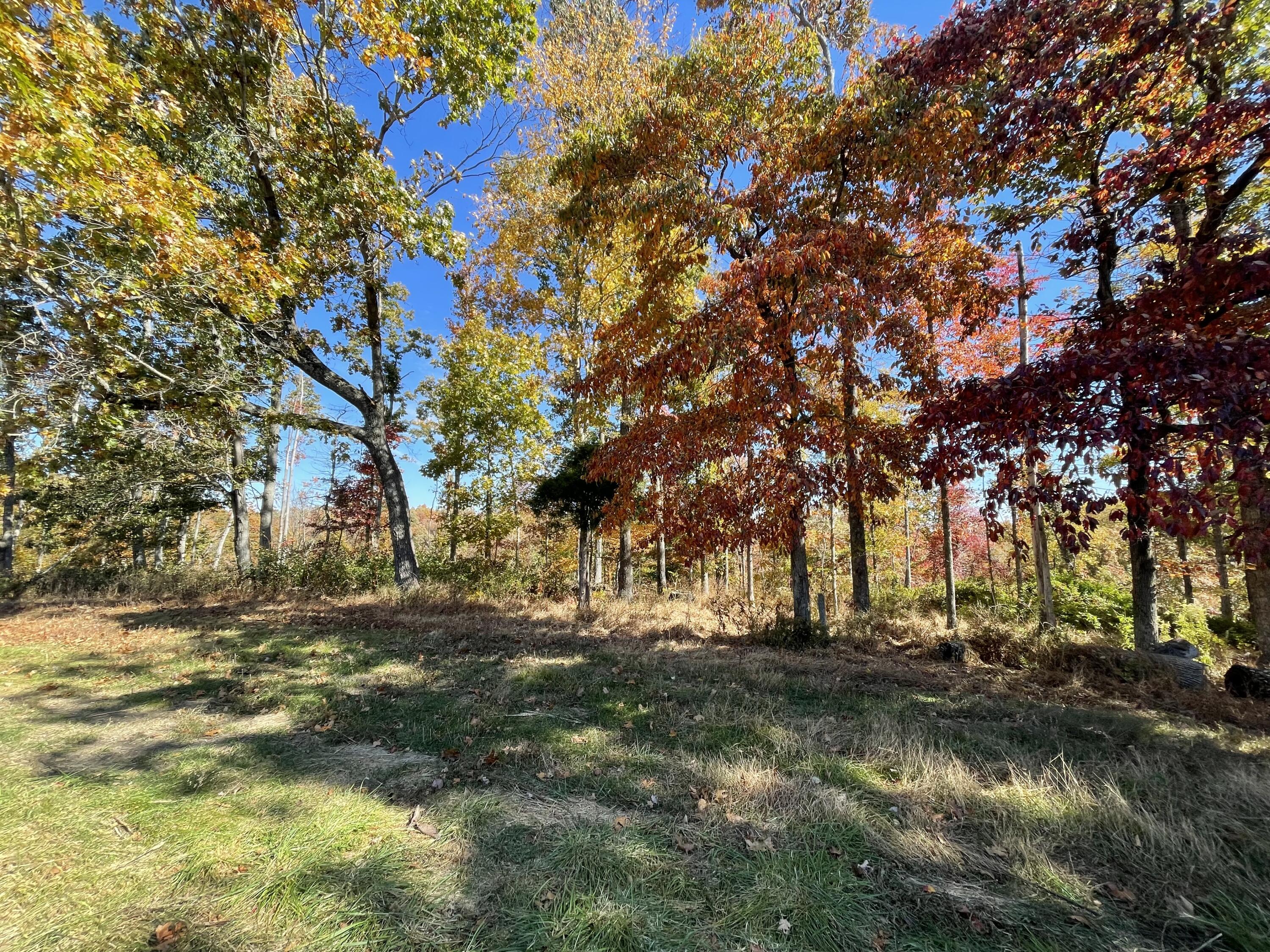 820 Osborne Road Brodhead, KY 40409 - Photo 8 of 11 373102CE-3891-48A1-95AB-FB25B1453E9B