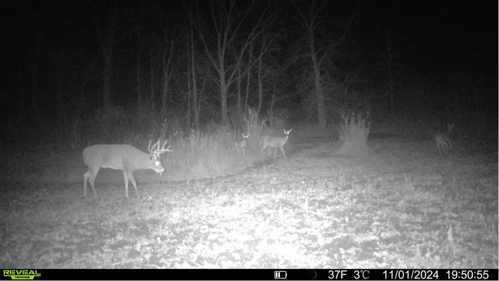 Low Road Forestville, WI 54213 - Photo 12 of 17 Gallery Image 12