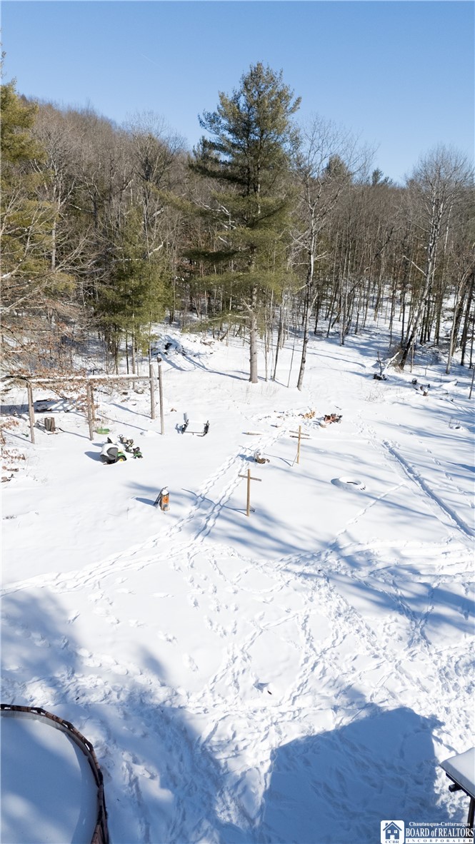 4490 Waugh Brook Road Ward, NY 14880 - Photo 15 of 16