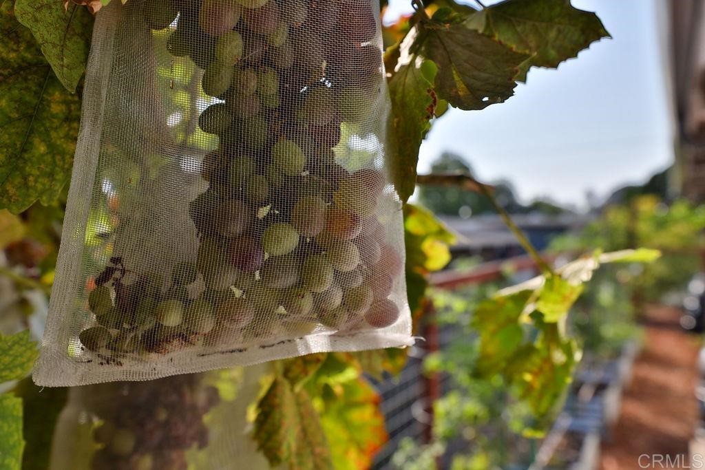 3573 Chasewood Drive San Diego, CA 92111 - Photo 40 of 57 a close up of a sink