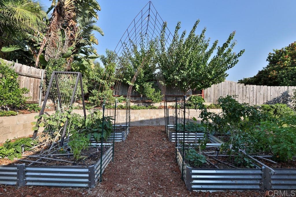 3573 Chasewood Drive San Diego, CA 92111 - Photo 46 of 57 a view of a yard with plants and large trees