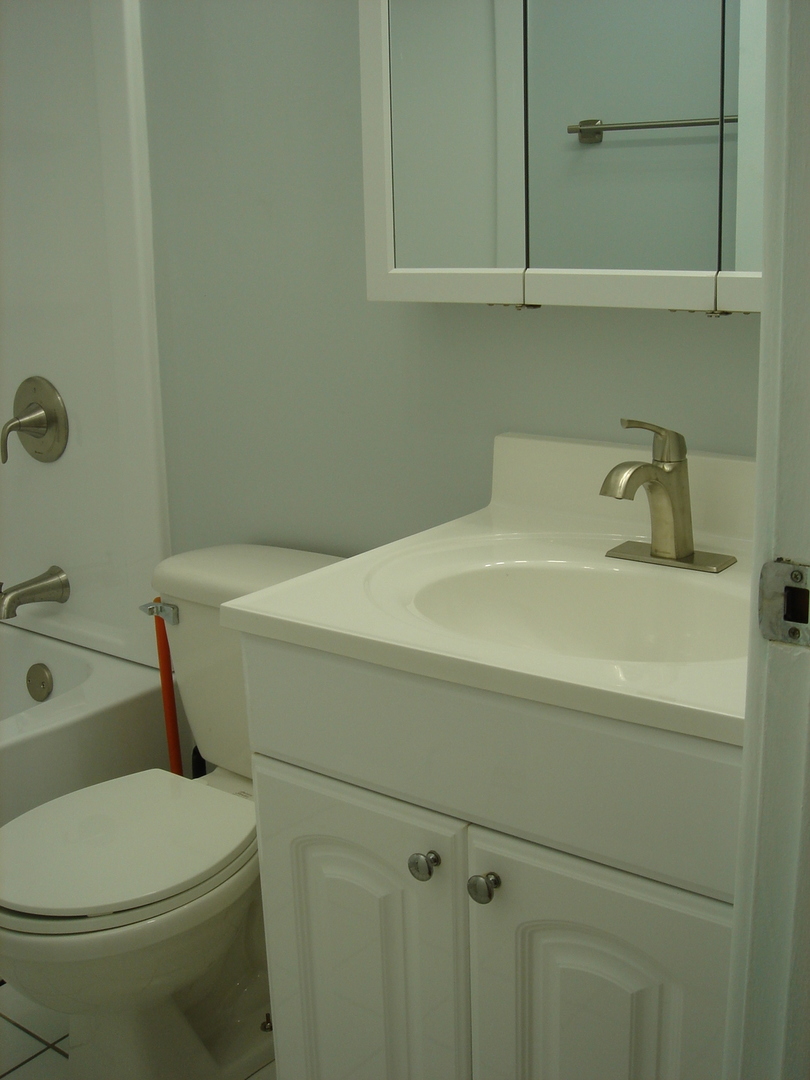 5420 North Sheridan Road, Unit 408 Chicago, IL 60640 - Photo 14 of 17 a bathroom with a sink toilet and vanity