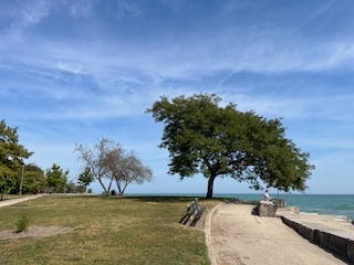 5420 North Sheridan Road, Unit 408 Chicago, IL 60640 - Photo 3 of 17 a view of a field with an ocean