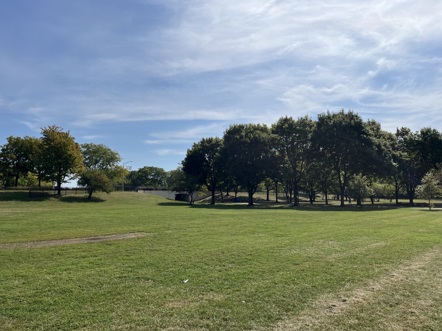 5420 North Sheridan Road, Unit 408 Chicago, IL 60640 - Photo 5 of 17 a view of a field of grass and trees