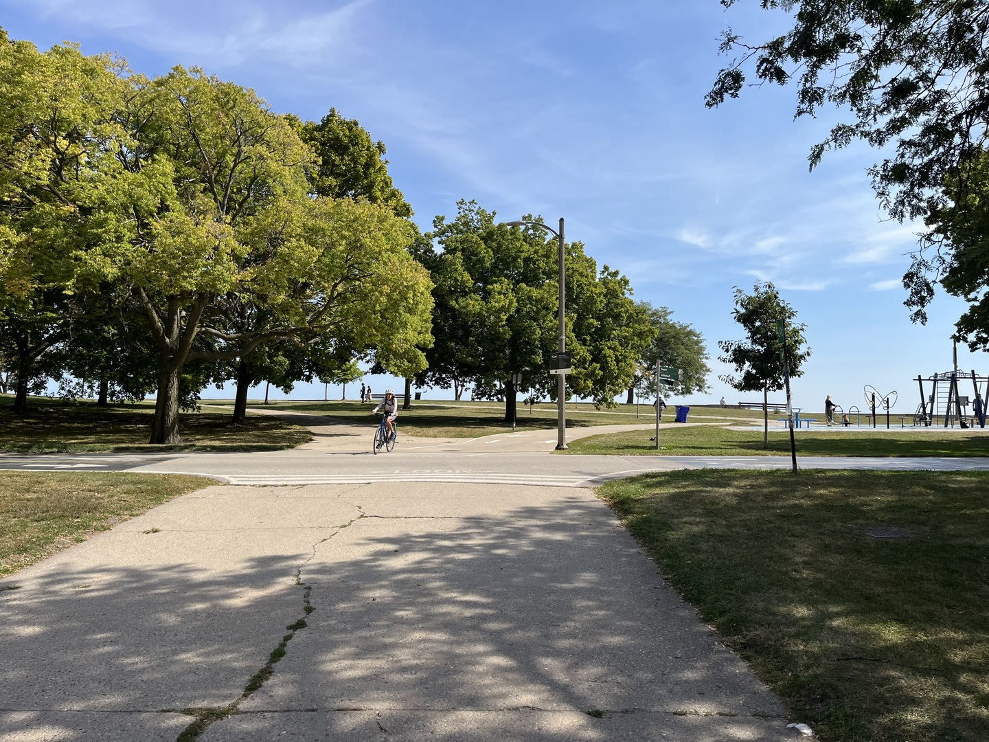 5420 North Sheridan Road, Unit 408 Chicago, IL 60640 - Photo 6 of 17 a view of a park with large trees