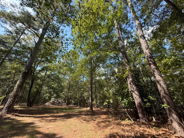 $625,000 | 555 Old Whiskey Road, Barnwell, SC 29812