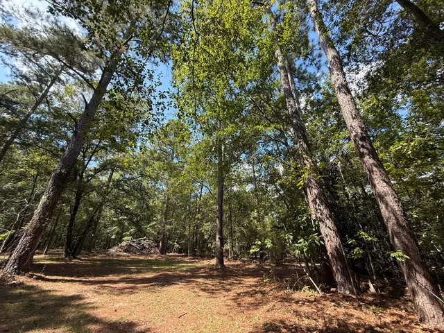 $625,000 | 555 Old Whiskey Road, Barnwell, SC 29812