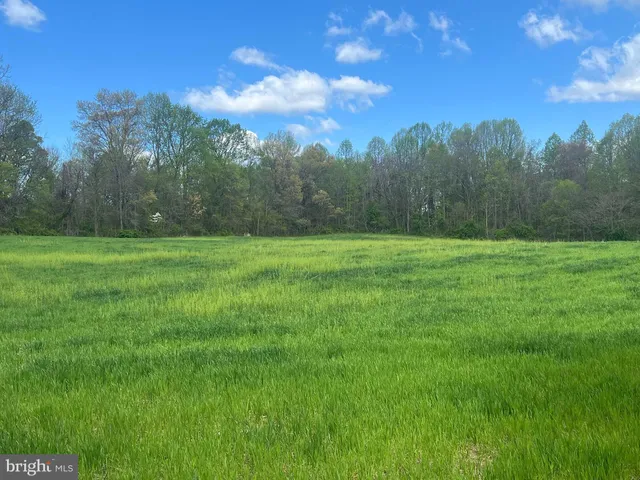 a view of a grassy field with trees in the background