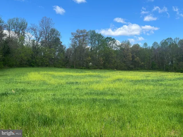 a view of a green field with trees in the background