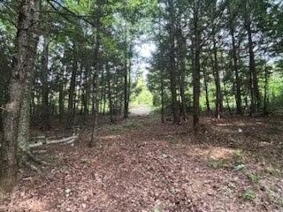 Lot #8 Kolm Road Garland, ME 04939 - Photo 6 of 23 3423