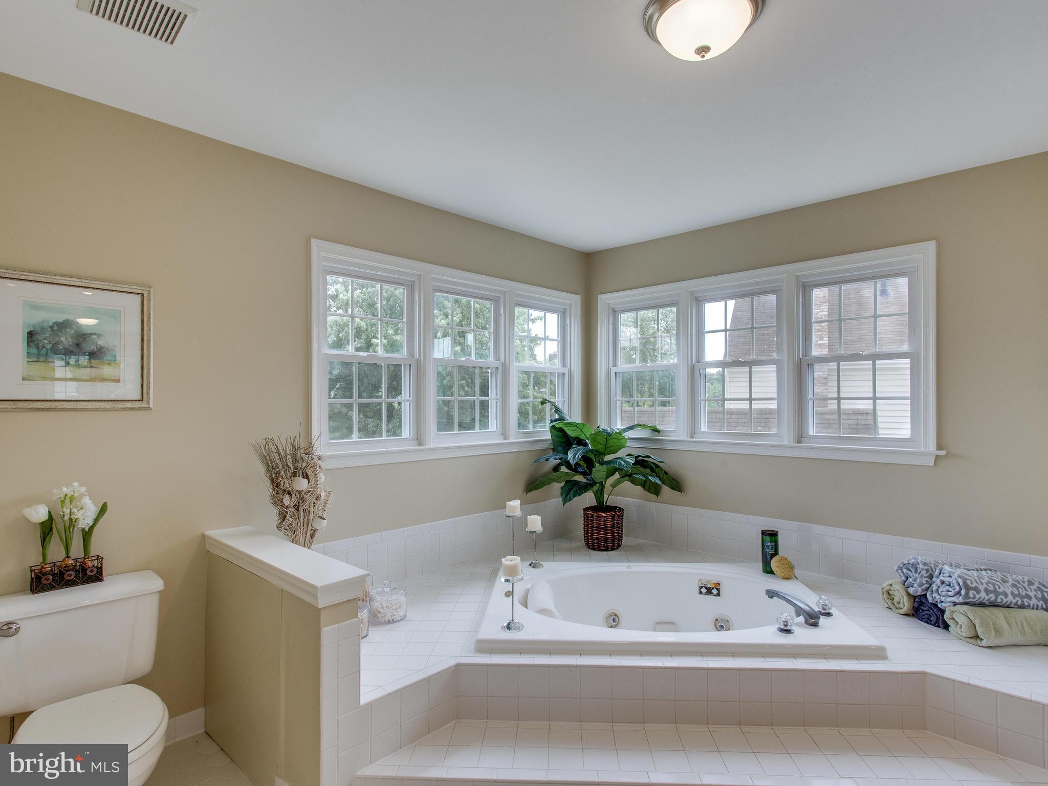 6565 Forsythia Street Springfield, VA 22150 - Photo 16 of 30 Jacuzzi Tub in the Master Bathroom Suite