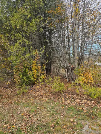 $35,000 | 15 Map Street, Franklin, ME 04634