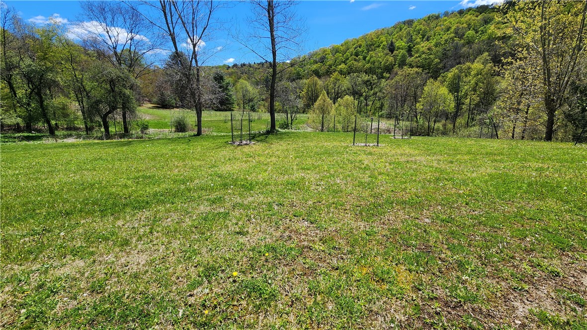 4810 Kirkwood Road Cohocton, NY 14826 - Photo 15 of 47