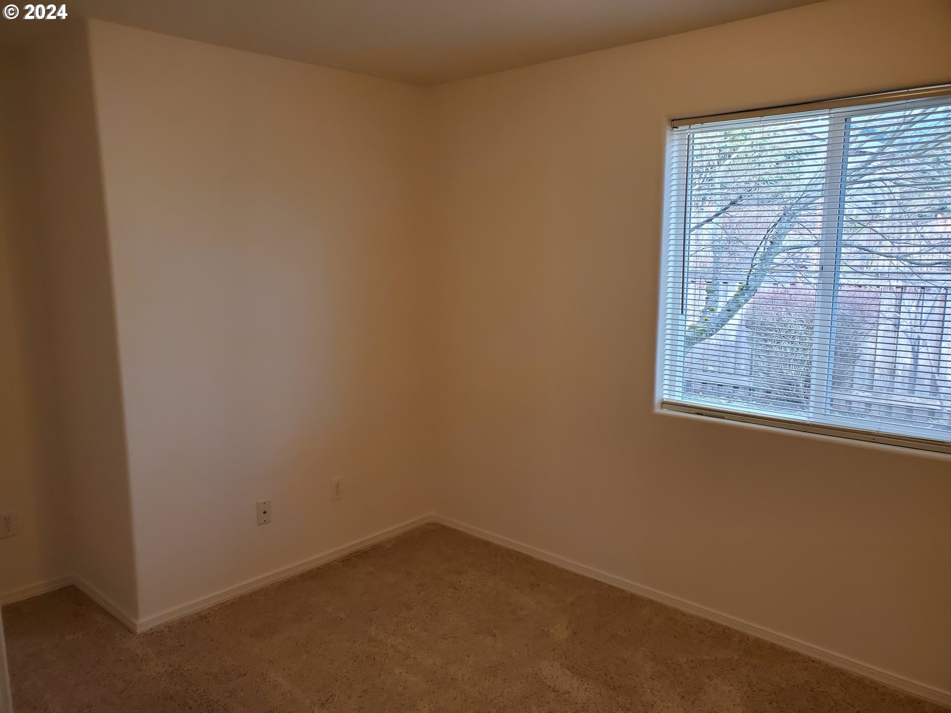 1555 South 57th Place Springfield, OR 97478 - Photo 23 of 39 Gallery Image 23