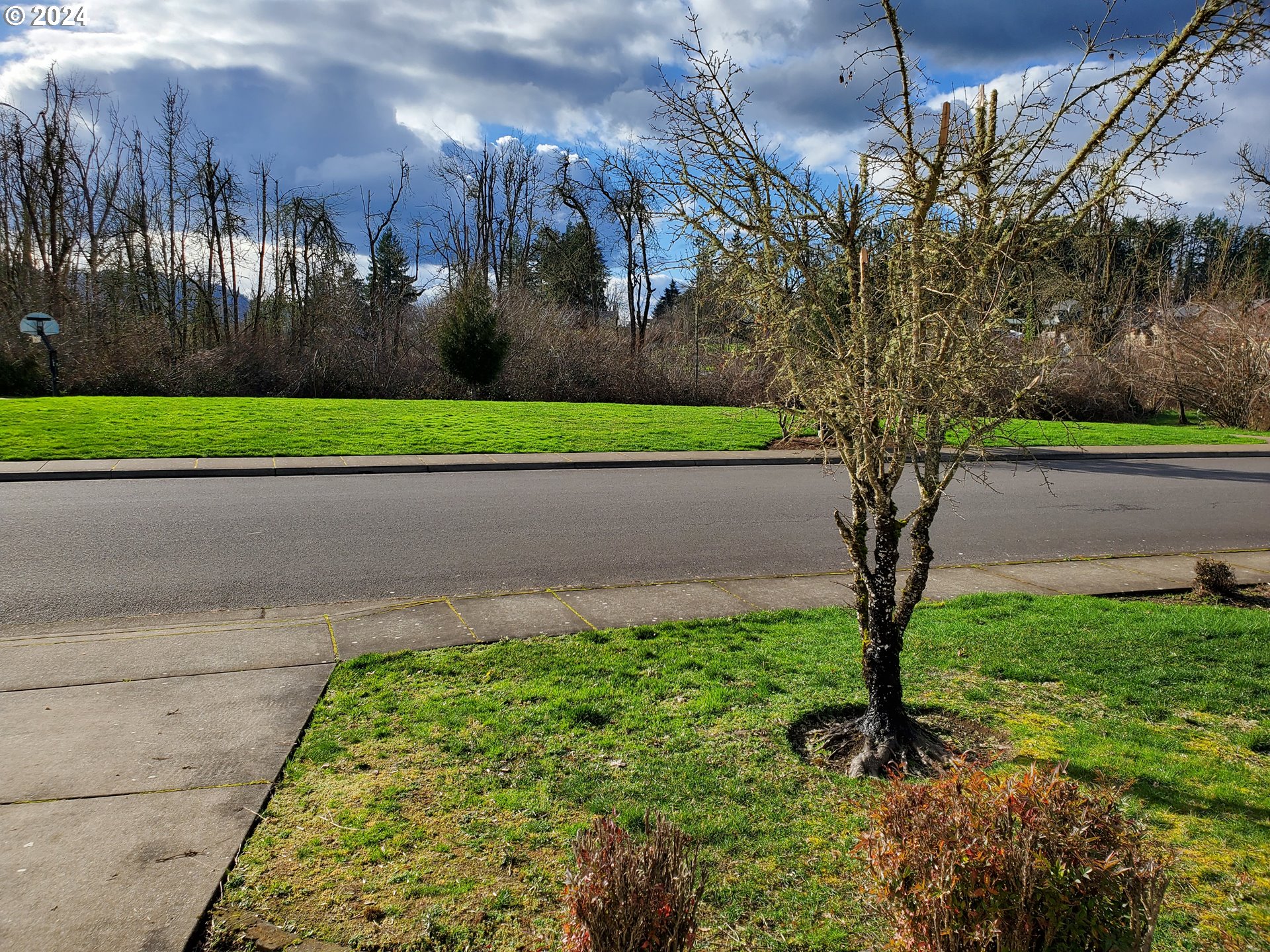 1555 South 57th Place Springfield, OR 97478 - Photo 39 of 39 Gallery Image 39