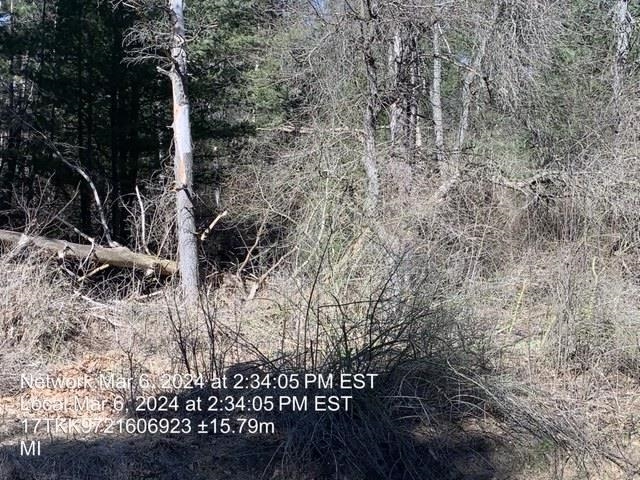 0 East Timreck Road, Unit PARCEL A Tawas City, MI 48763 - Photo 5 of 6
