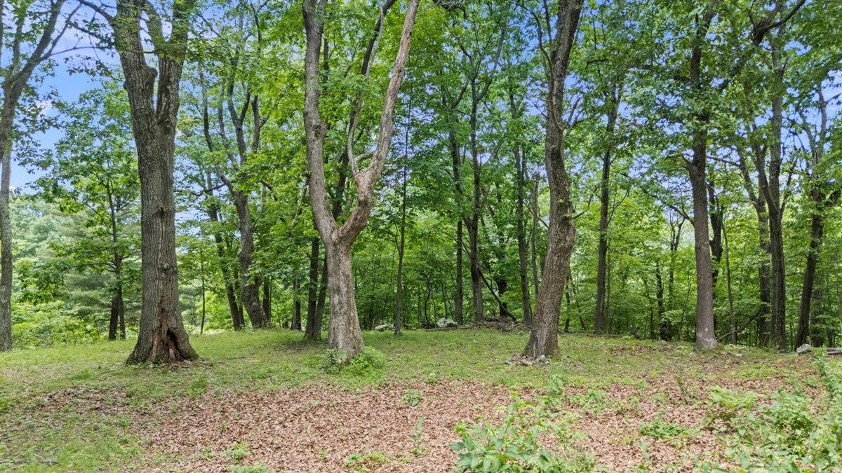 Lot 19-20 Hidden Hill Road Stanley, VA 22851 - Photo 13 of 20