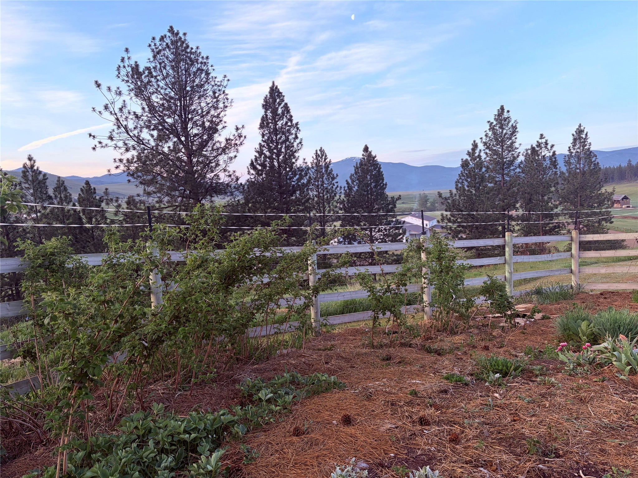 13 High Country Road Plains, MT 59859 - Photo 51 of 55 Gallery Image 51