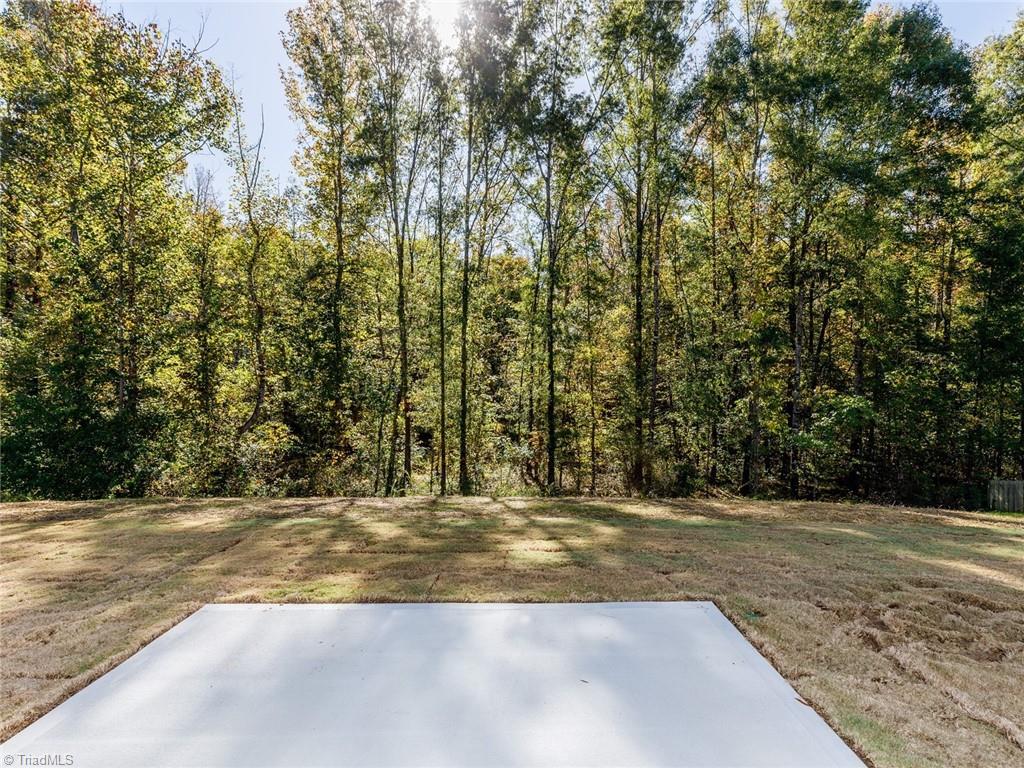 107 Charleston Ridge Drive Mocksville, NC 27028 - Photo 3 of 29