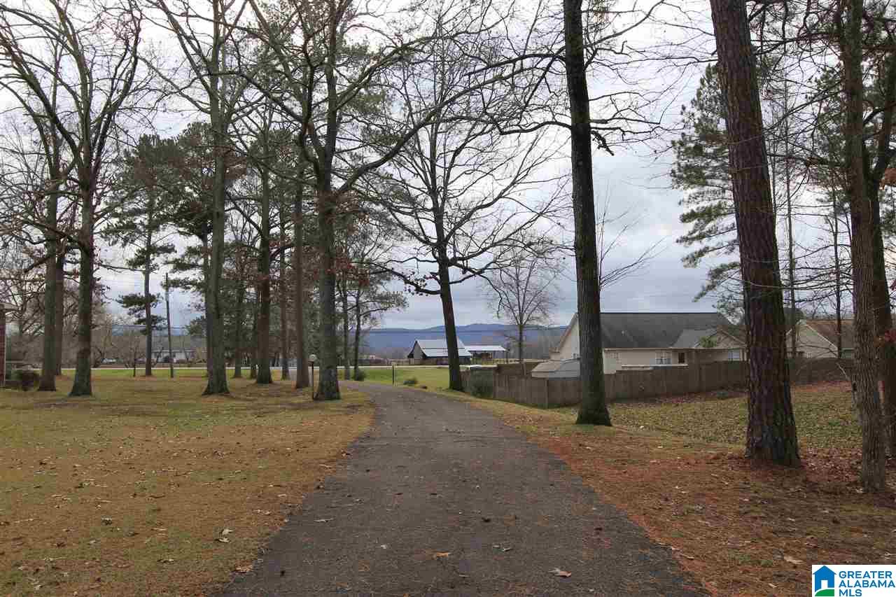 2405 Friendship Road Oxford, AL 36203 - Photo 9 of 47