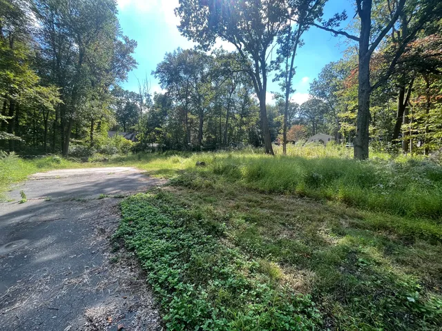 a view of a yard with plants and trees