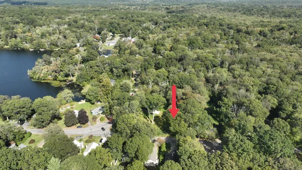 a close up of a flower in a garden