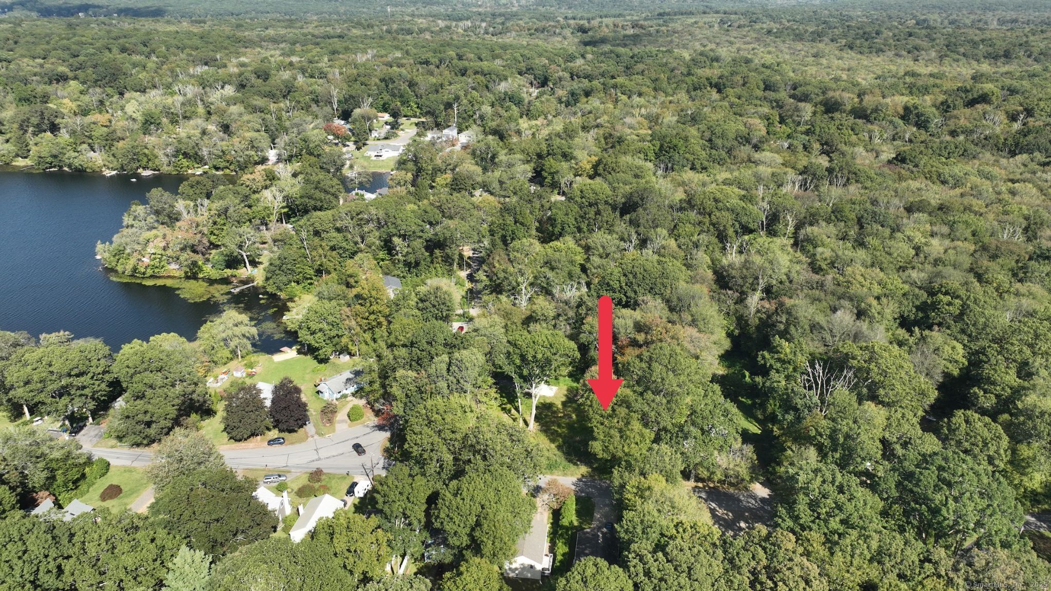 282 Deepwood Drive Hebron, CT 06231 - Photo 8 of 13 a close up of a flower in a garden