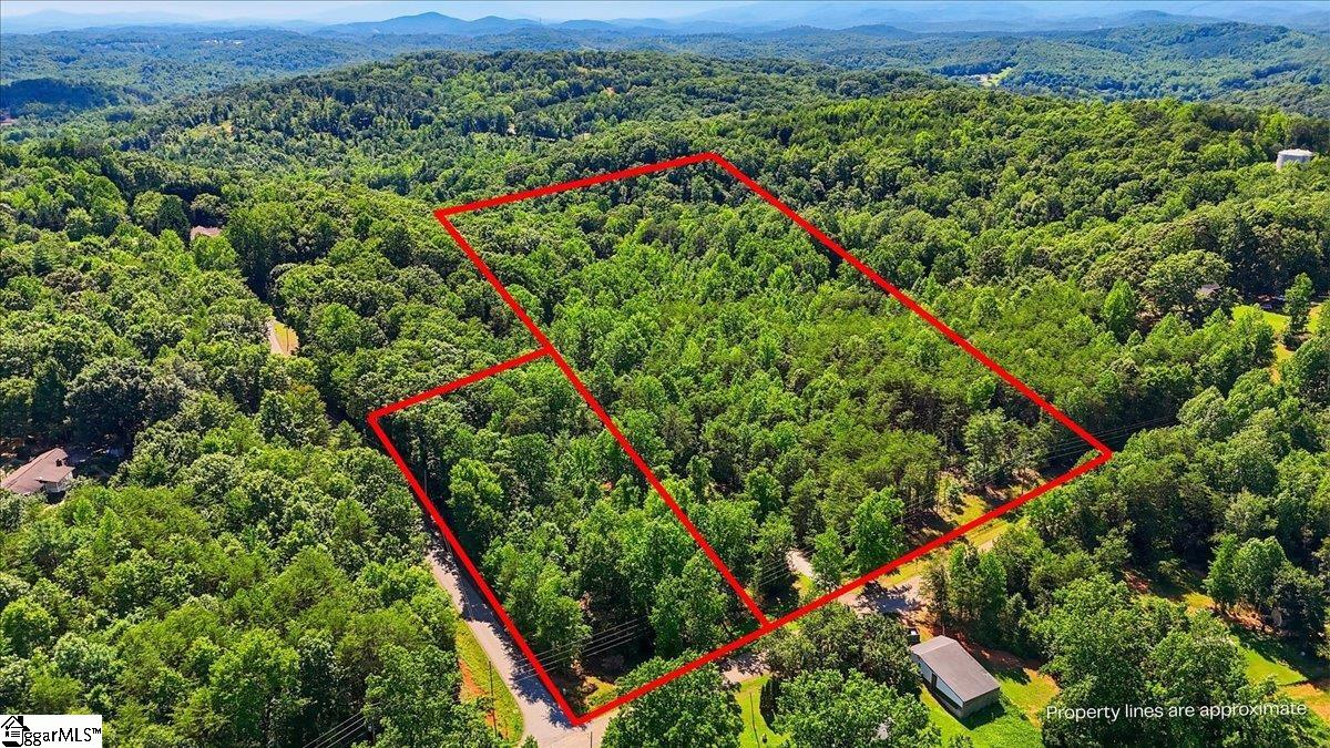 883 Goodwin Bridge Road Travelers Rest, SC 29690 - Photo 2 of 12