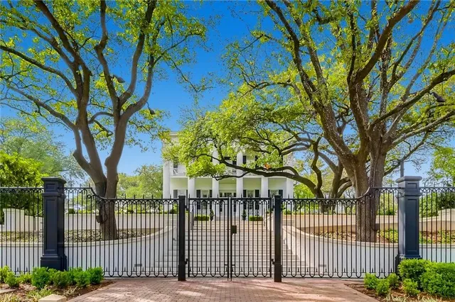 a view of a large trees with a big yard and large trees