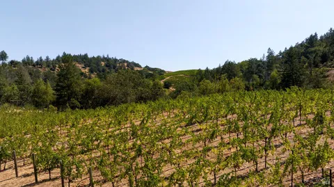 $14,900,000 | 3000 Mt Veeder Road, Napa, CA 94558
