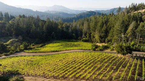 $14,900,000 | 3000 Mt Veeder Road, Napa, CA 94558