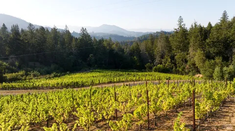 $14,900,000 | 3000 Mt Veeder Road, Napa, CA 94558