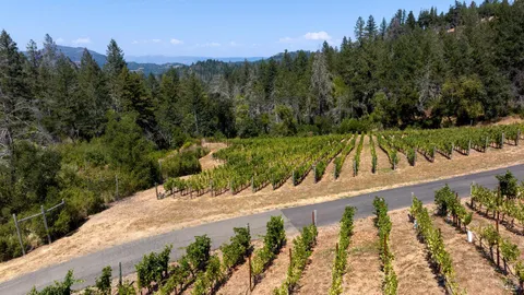 $14,900,000 | 3000 Mt Veeder Road, Napa, CA 94558