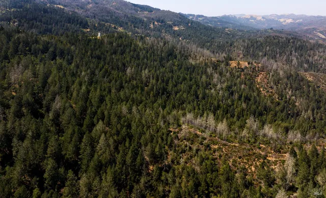 $14,900,000 | 3000 Mt Veeder Road, Napa, CA 94558