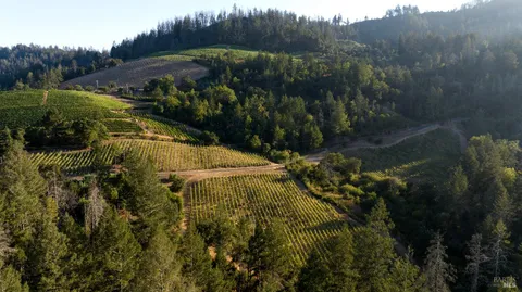 $14,900,000 | 3000 Mt Veeder Road, Napa, CA 94558