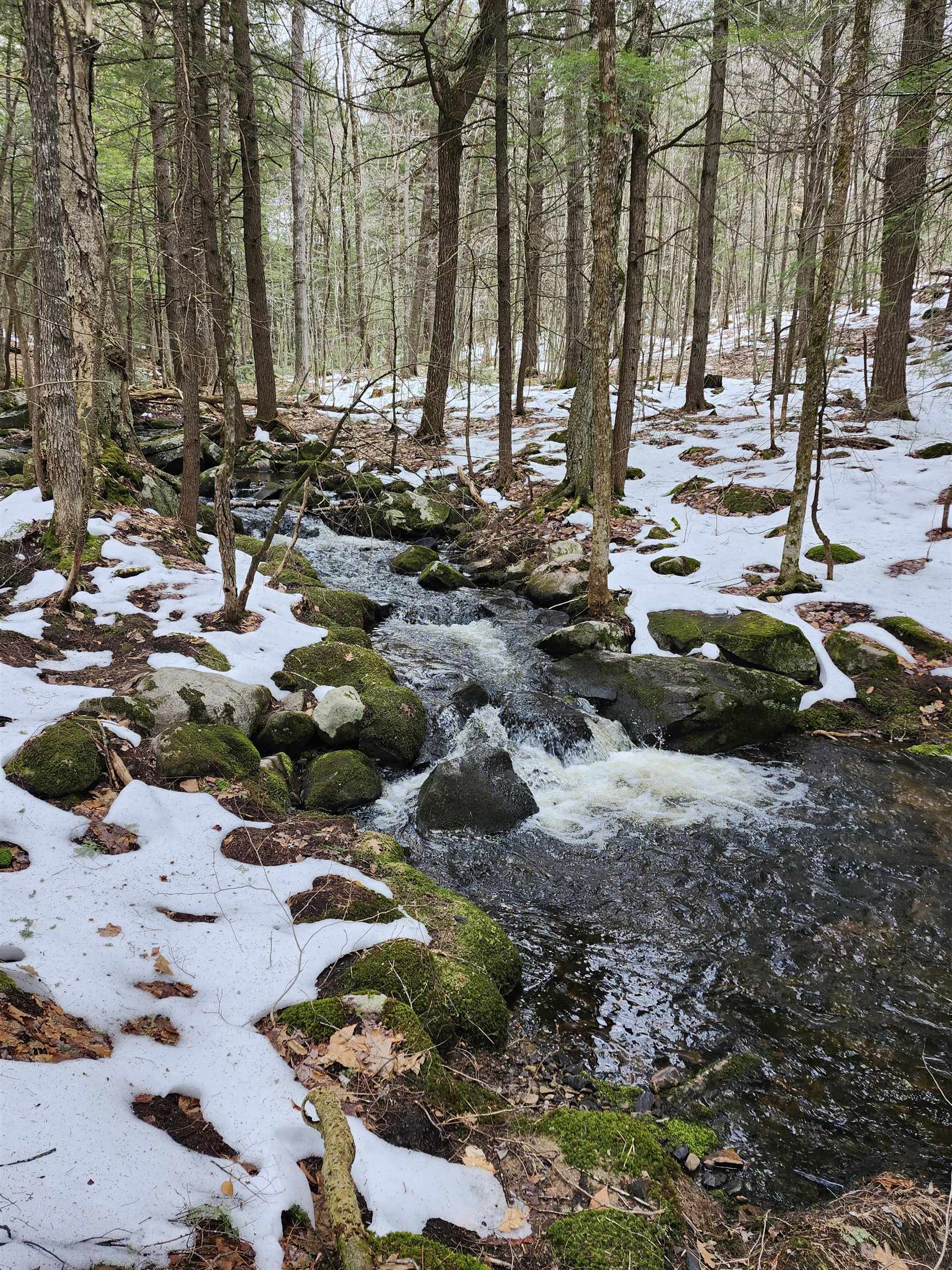 Tbd Bickford Road Wolfeboro, NH 03894 - Photo 8 of 33