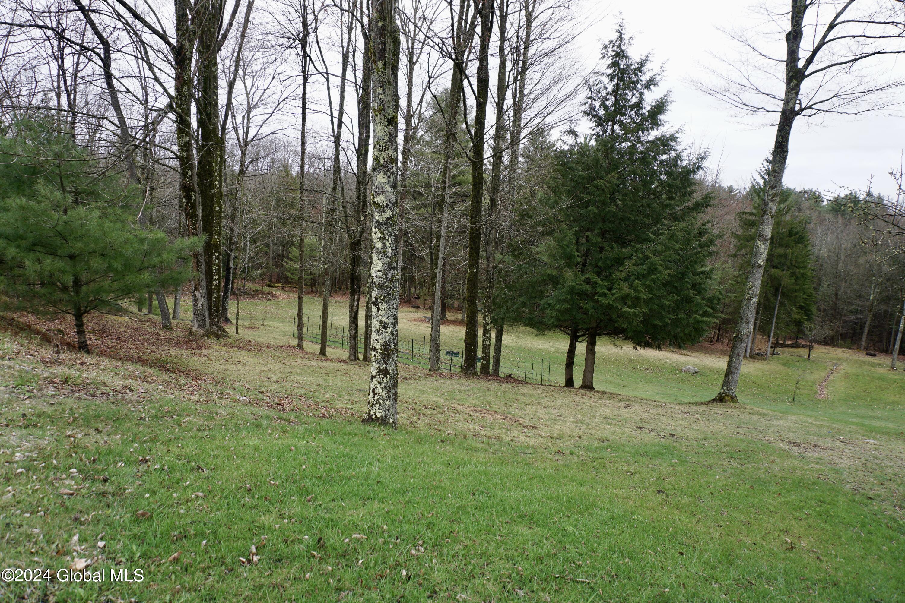 7370 Bills Road Providence, NY 12850 - Photo 4 of 50 DSC04119