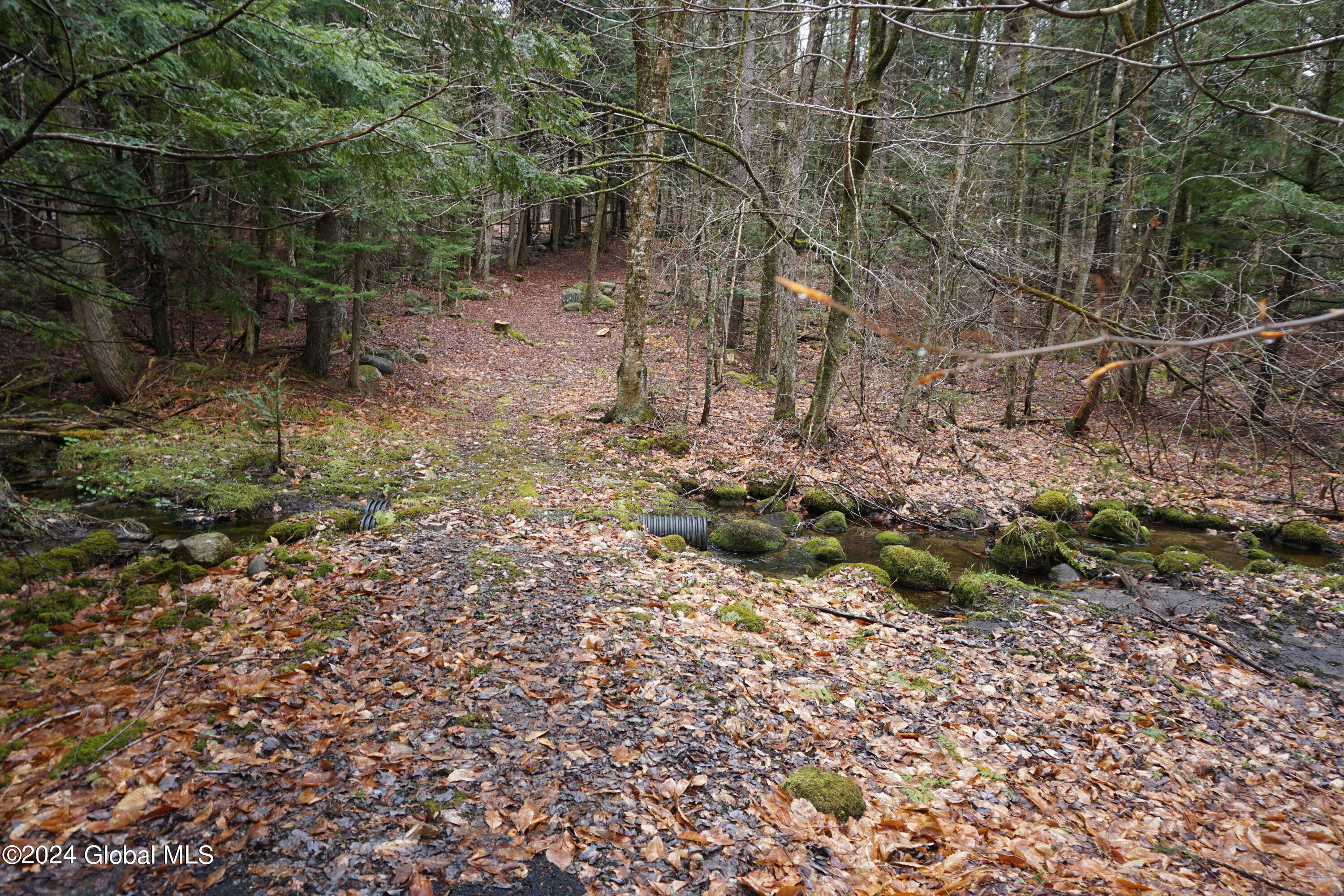 7370 Bills Road Providence, NY 12850 - Photo 43 of 50 DSC04184