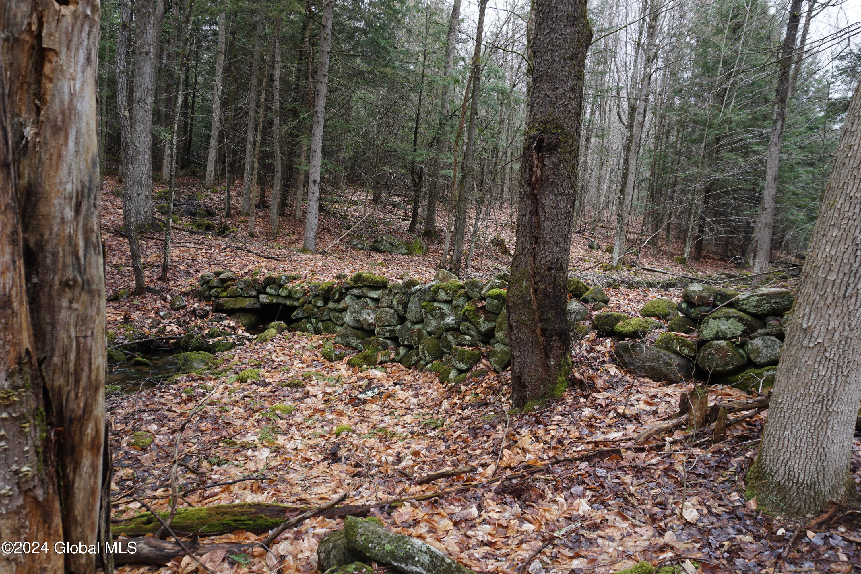 7370 Bills Road Providence, NY 12850 - Photo 47 of 50 DSC04195