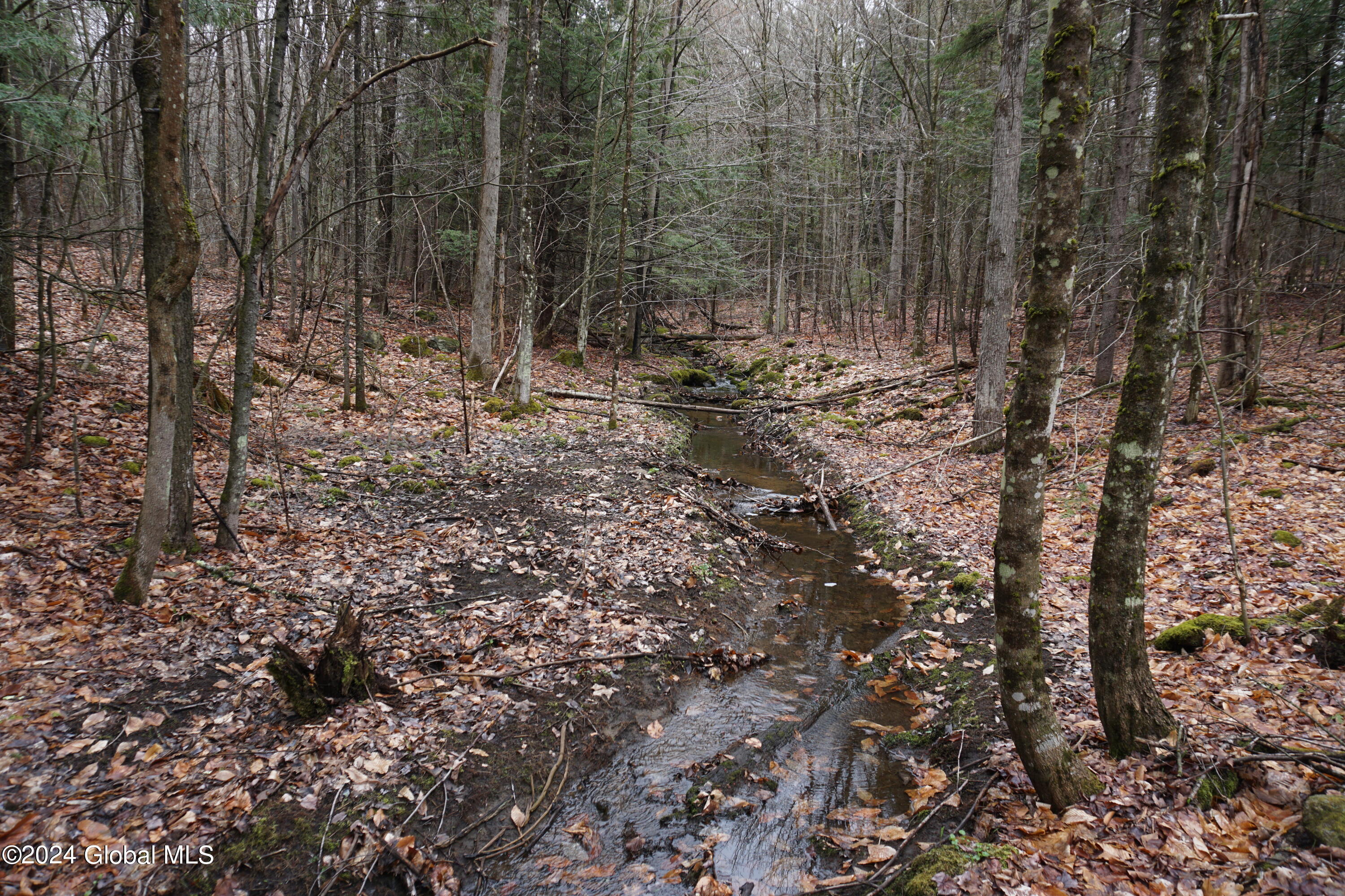 7370 Bills Road Providence, NY 12850 - Photo 48 of 50 DSC04196