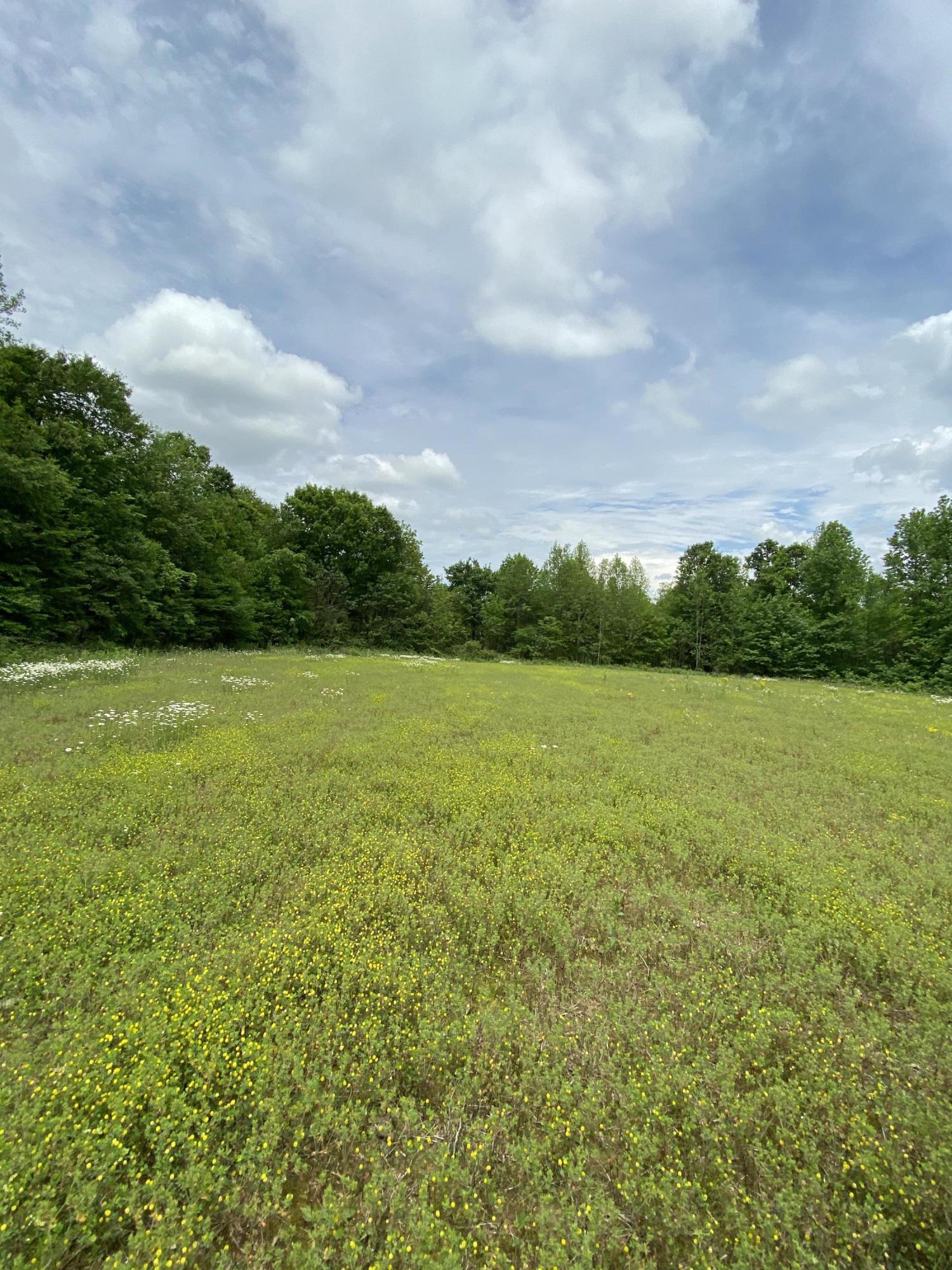 123 South Fork Ridge Road Liberty, KY 42539 - Photo 1 of 28 FF8EA35A-3211-472F-83E7-01F828D77B0C<|><