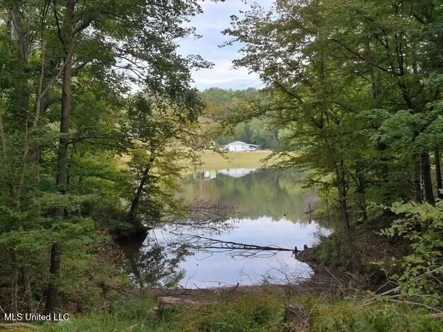 $45,000 | Lake View Drive, Yazoo City, MS 39194