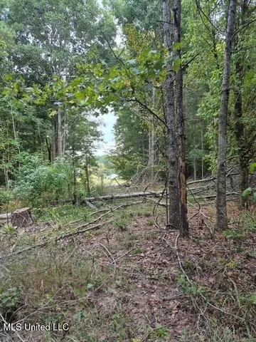 $45,000 | Lake View Drive, Yazoo City, MS 39194