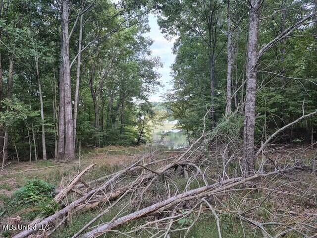 Lake View Drive Yazoo City, MS 39194 - Photo 4 of 6 4