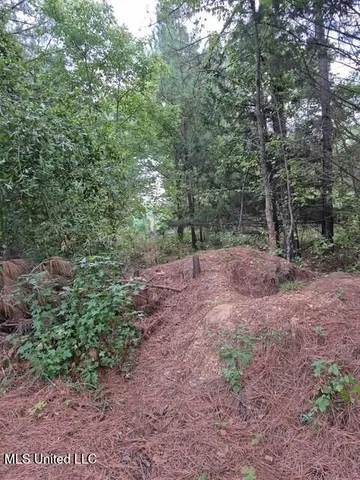 $45,000 | Lake View Drive, Yazoo City, MS 39194