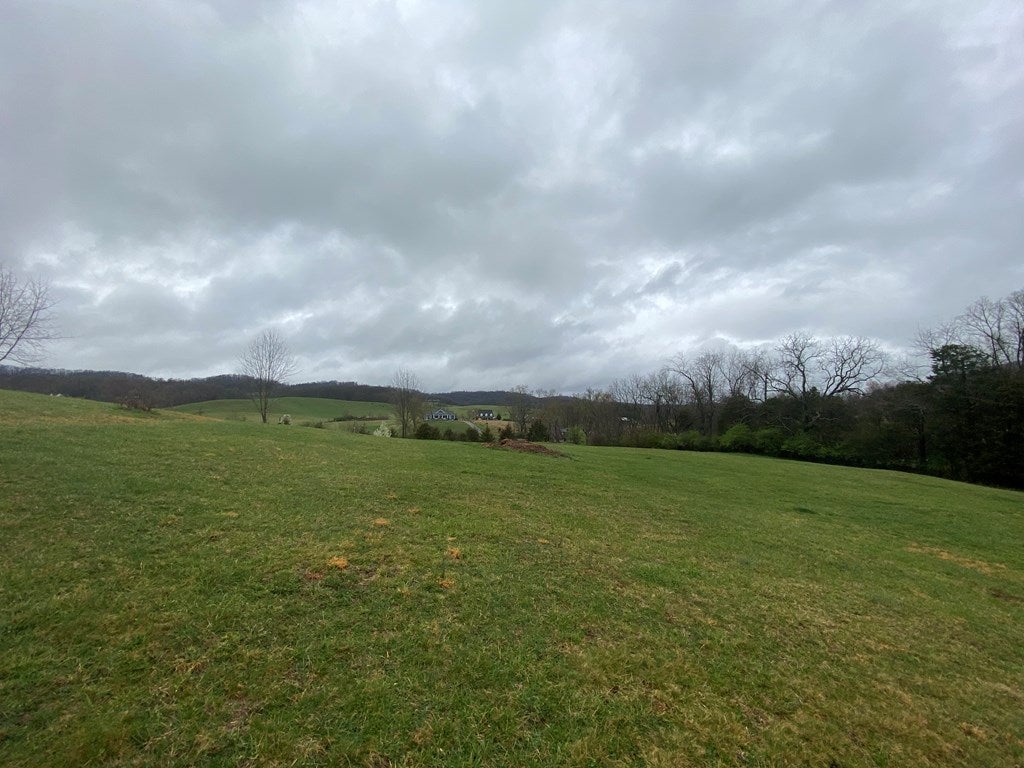0 Reedy Creek Road, Unit 1 Bristol, VA 24201 - Photo 6 of 14 Gallery Image 6