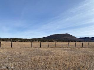 6837 Leupp Road Flagstaff, AZ 86004 - Photo 8 of 39 IMG_5822