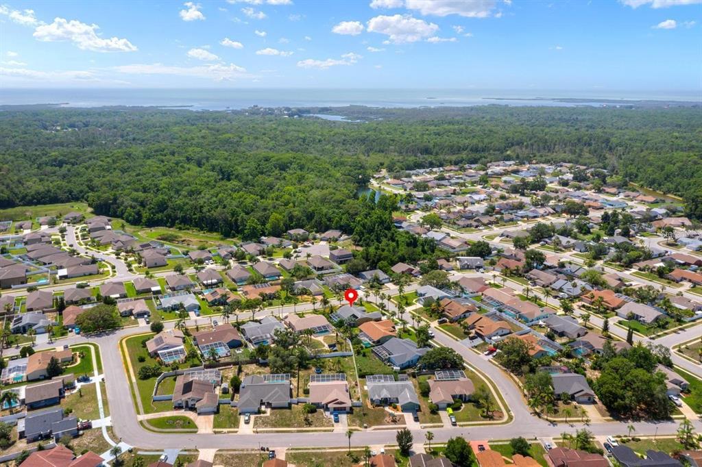 10228 Yellow Pine Way Hudson, FL 34667 - Photo 19 of 22