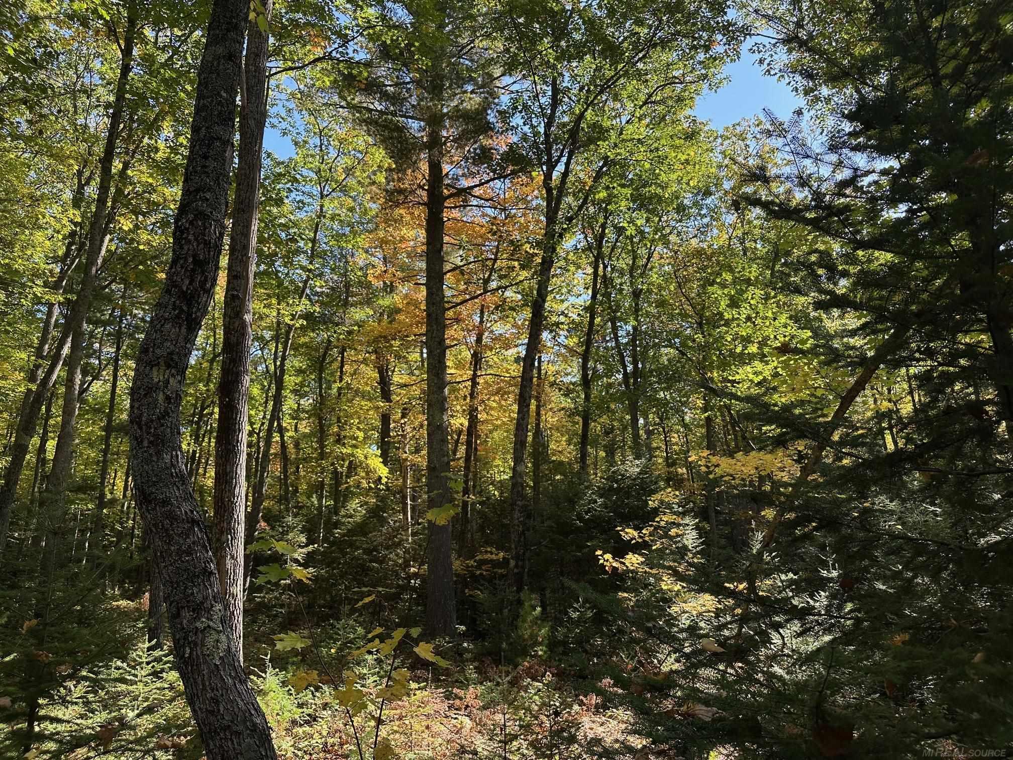 14231 Co Road Ishpeming, MI 49849 - Photo 17 of 19